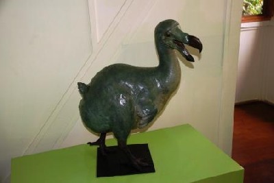 Der Dodo